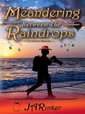 cover image of Meandering Between the Raindrops